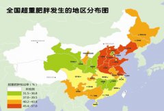 中国肥胖指数地图新鲜出炉